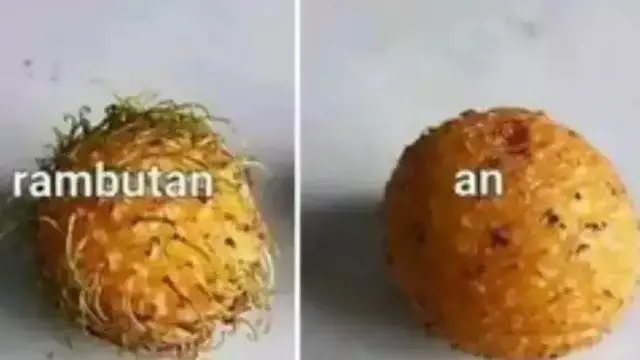 Kegabutan Netizen