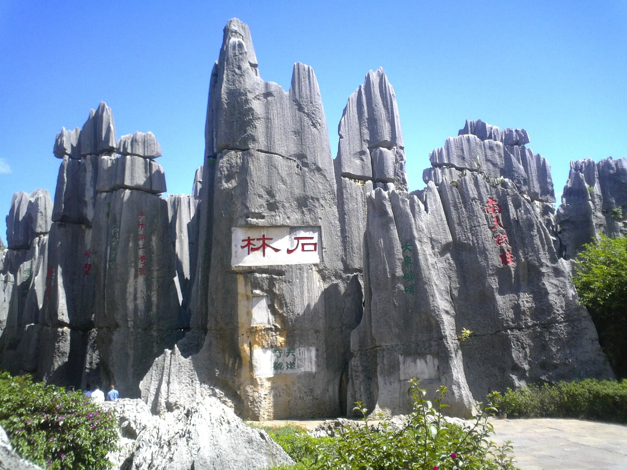 The Stone Forest (Wikimedia Commons)