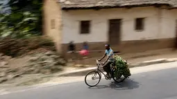 Warga Burundi saat mengendarai sepedanya membawa pisang dari daerah pedesaan menuju pasar di ibukota Bujumbura, Burundi, (19/7/2015). Karena Melewati jalanan menanjak, pengendara sepeda ini sering bergelantungan di belakang truk. (REUTERS/Mike Hutchings)