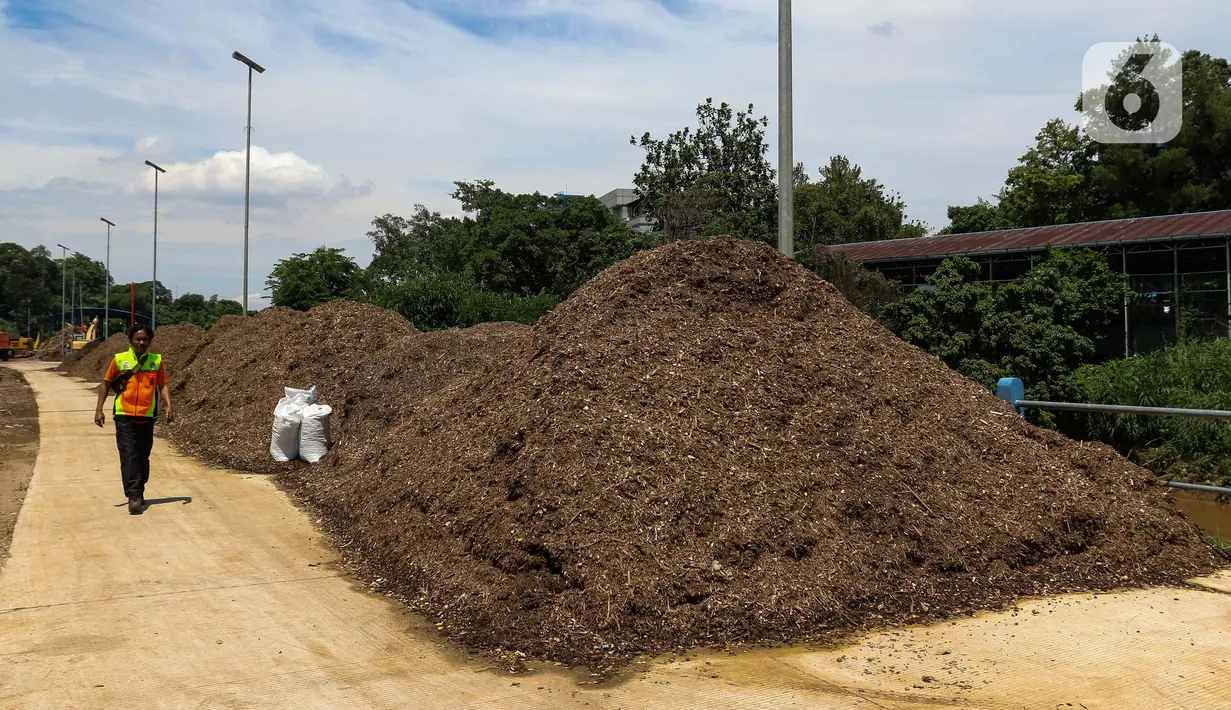 Pupuk kompos akan dimanfaatkan oleh pemerintah provinsi (Pemprov) DKI Jakarta. (Liputan6.com/Herman Zakharia)