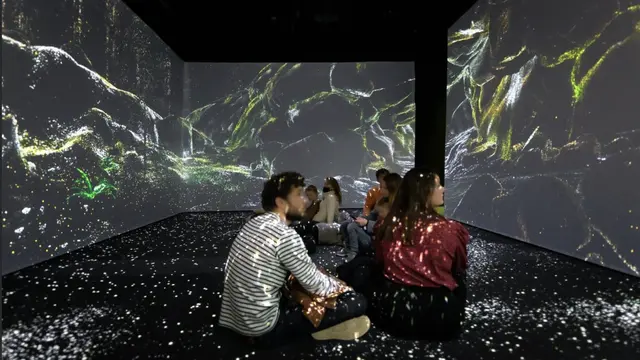 Sensory Odyssey: Into the Heart of Our Living World