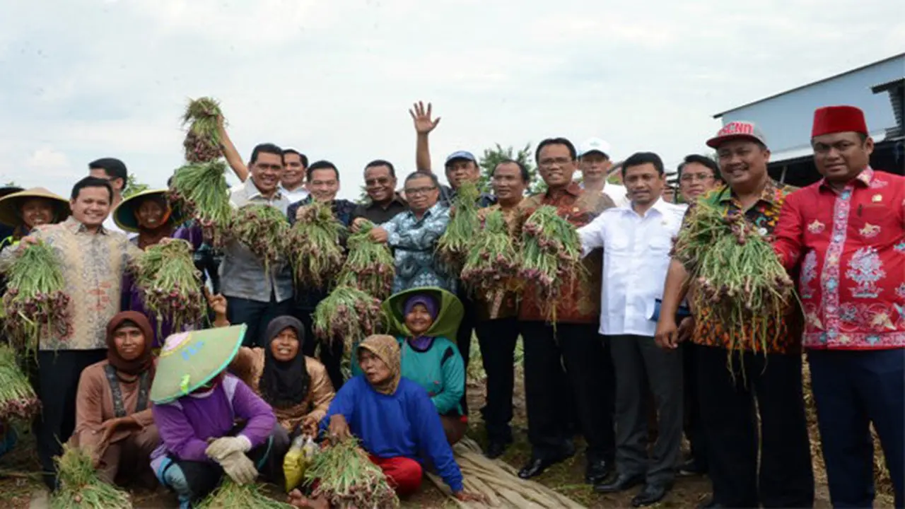 Komisi IV Pastikan Distribusi Bawang Merah Aman