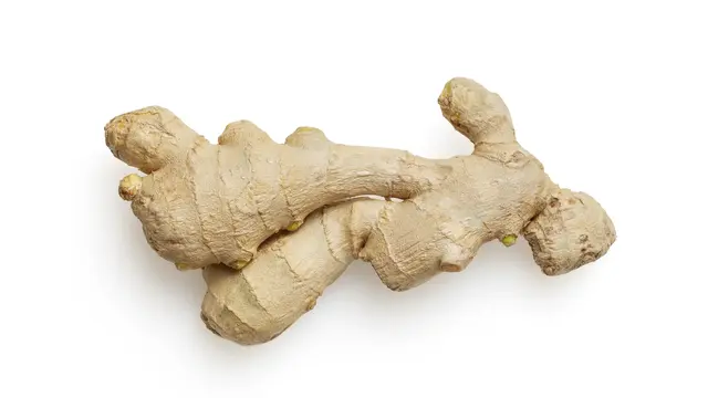 Contoh ilustrasi jahe