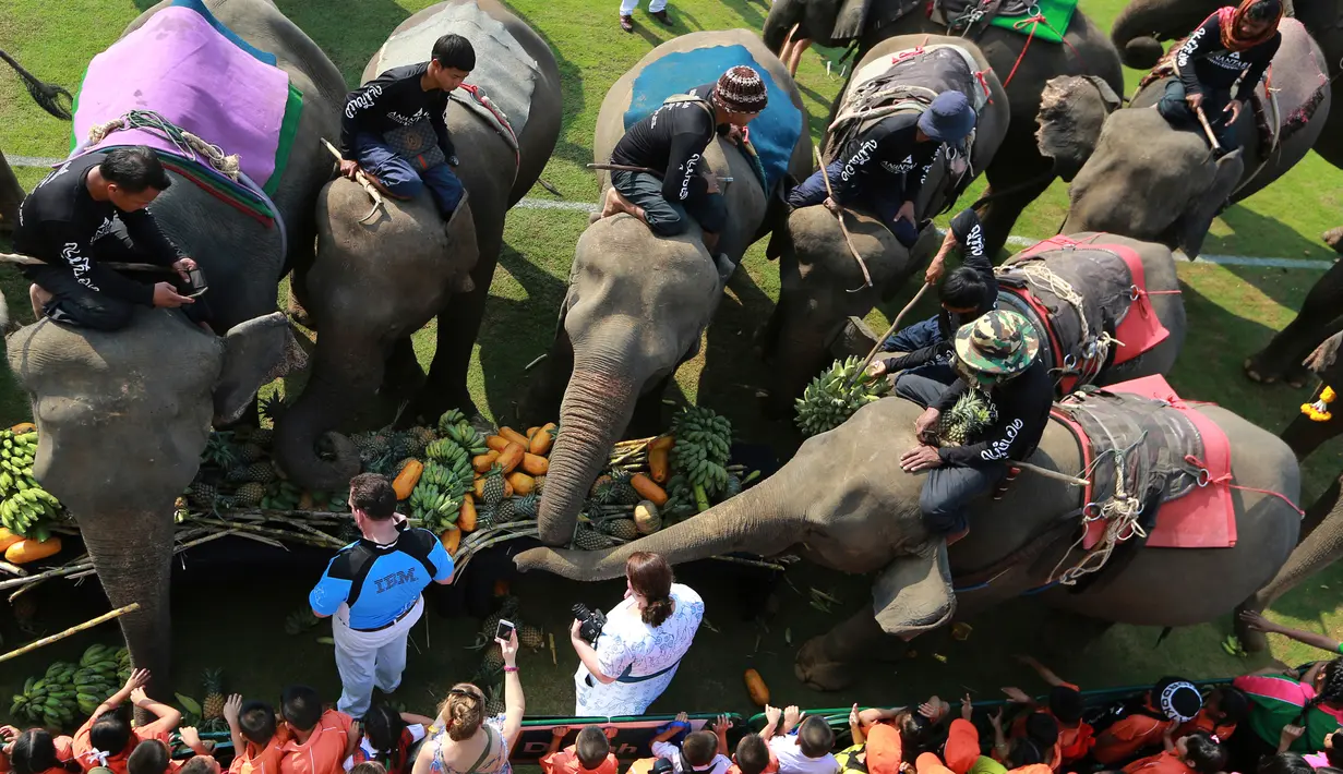 Sejumlah gajah yang menjadi peserta lomba Polo makan sebelum dimulainya turnamen Elephant Polo King's Cup di Bangkok, Thailand (8/3). (AP Photo / Sakchai Lalit)