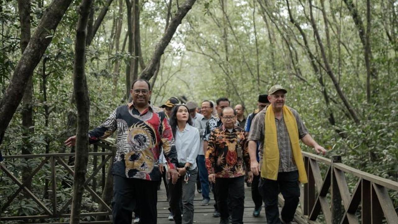 Dana Hibah M4CR Kuatkan Pengembangan Ekowisata Mangrove Penajam Paser Utara