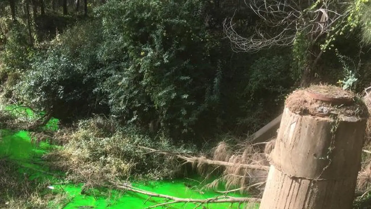 Air Sungai Berubah Hijau Neon, Fenomena Alam?