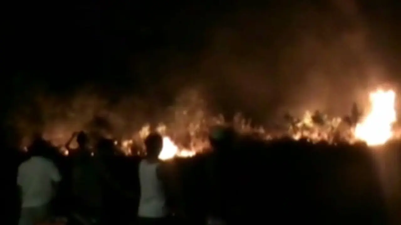 (lip6 Pagi) Lahan terbakar