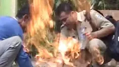 liputan6