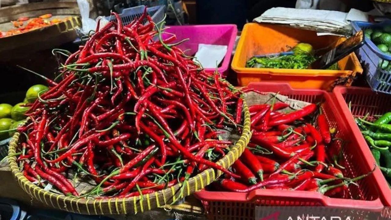 Tahukah Anda? Harga Pangan Turun: Cabai Rawit dan Bawang Merah Makin Terjangkau Nasional