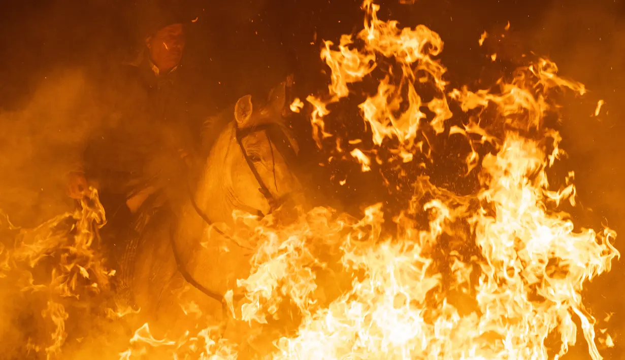 Seorang  penunggang kuda melompati api unggun selama festival Luminarias di San Bartolome de Pinares, Spanyol, Rabu (16/1). Inti dari ritual ini adalah bahwa asap menyucikan binatang ketika kuda melompati api unggun. (GABRIEL BOUYS / AFP)