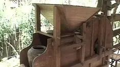 liputan6
