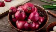 9 Cara Menanam Bawang Merah Tanpa Lahan Kebun, Praktis untuk Dicoba di Rumah