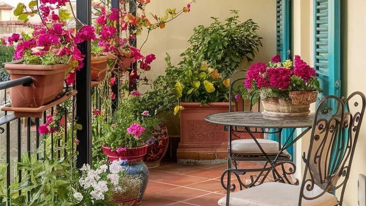 Ilustrasi Taman di Balkon dengan Tanaman Merambat (©Pinterest)