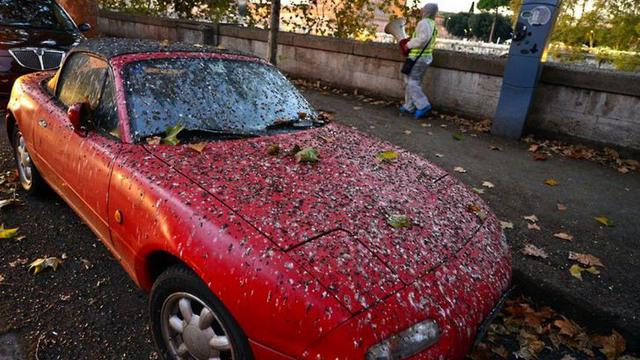 8 Potret Kesialan Orang, Bikin Nyesek yang Lihat