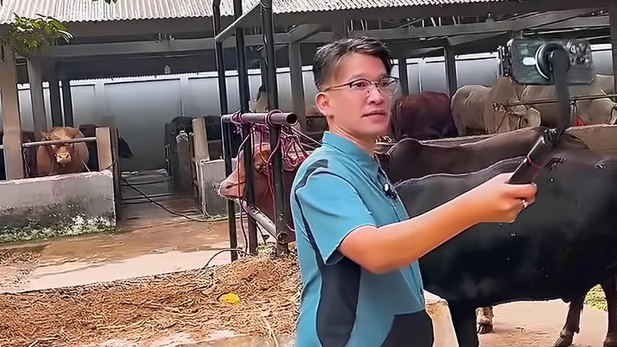 9 Potret Ruben Onsu Cari Sapi Kurban Usai Batal Naik Haji Terkendala Visa Furoda 2025