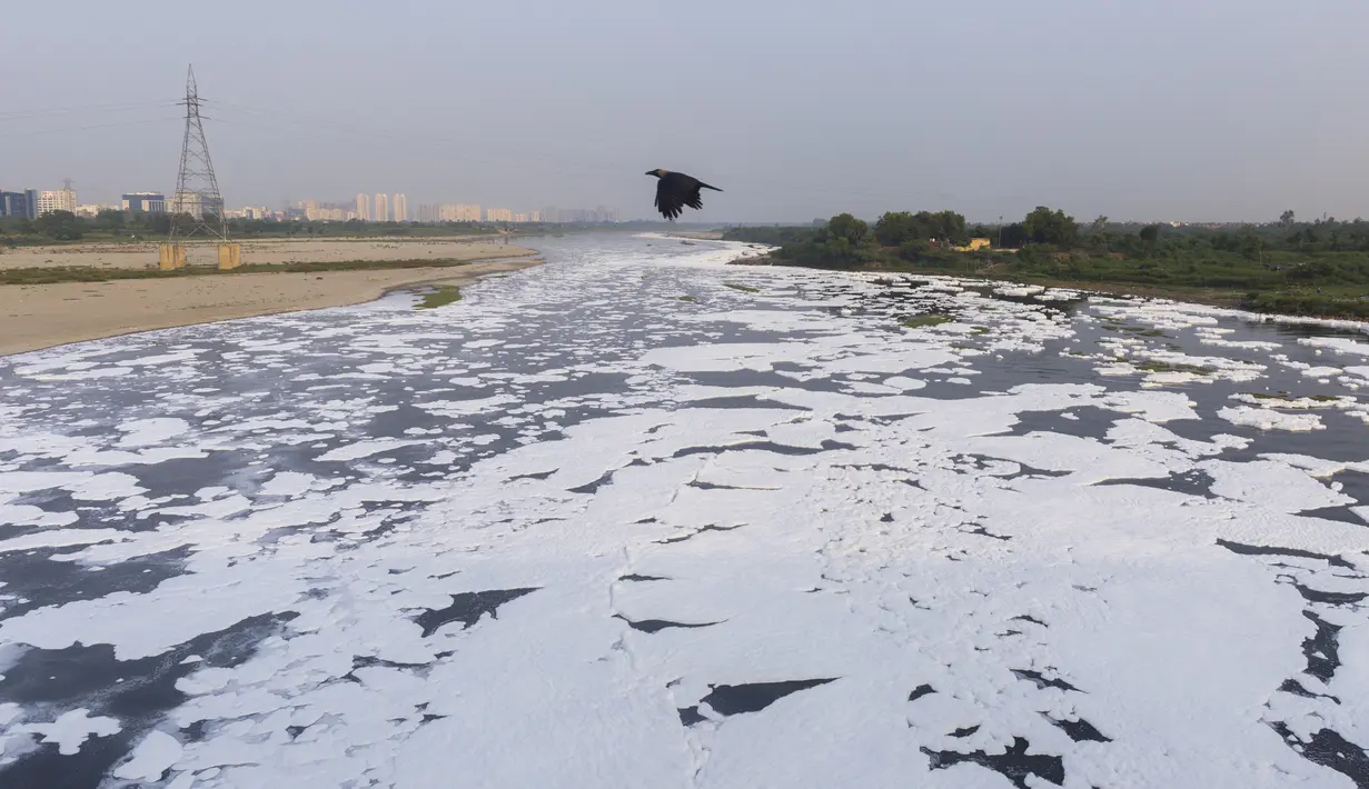 Suasana sungai Yamuna yang yang tercemar busa di pinggiran New Delhi (23/7/2020). Sungai ini menyandang gelar sebagai sungai paling tercemar di dunia. (AFP Photo/Xavier Galiana)