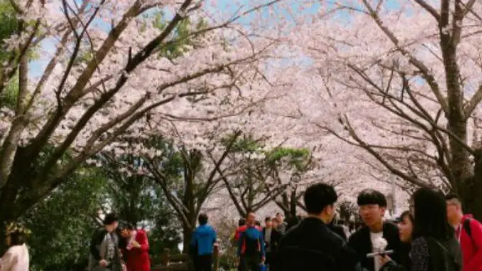 Busan City, Korea/Instagram