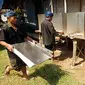 Dua pria suku Baduy mempersiapkan bilik suara di Tempat Pemungutan Suara (TPS), di Desa Kanekes, Ciboleger, Lebak, Banten.(Antara)