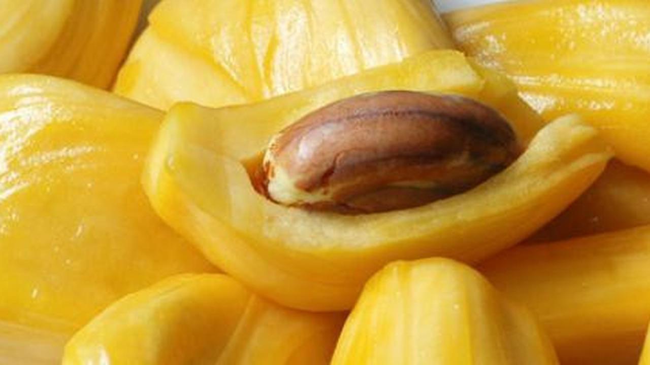 10 Khasiat buah nangka bagi tubuh Anda