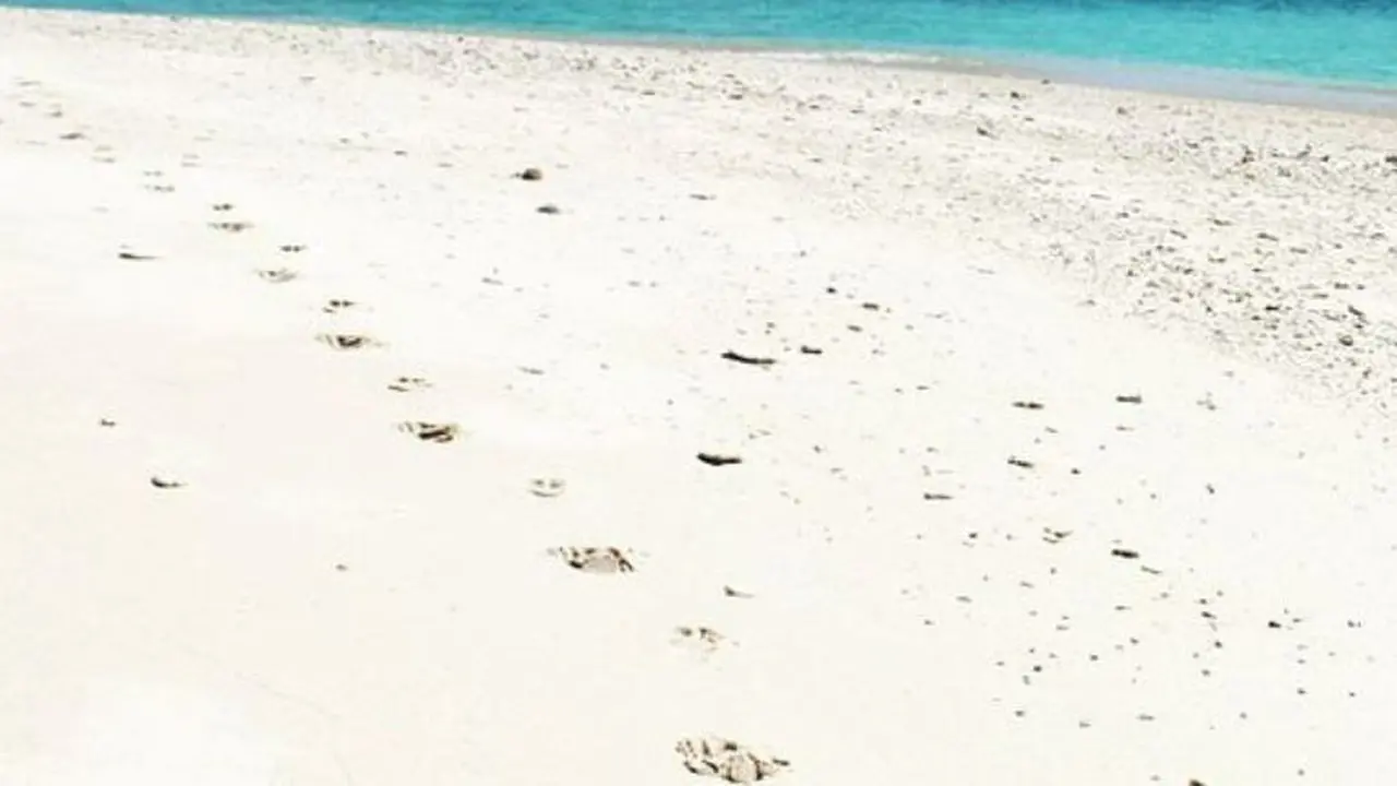 Pulau Senoa, Menapaki Langkah di Wilayah Terluar Indonesia