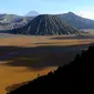 Bromo memiliki ketinggian 2.392 meter di atas permukaan laut. Bentuk tubuh Bromo berpagutan antara lembah dan ngarai, dengan kaldera (lautan pasir) seluas 10 kilometer. (Liputan6.com/wwn)