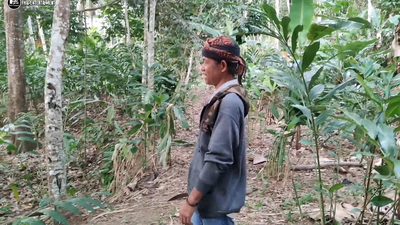 Kisah dalang yang hidup menyepi di tengah hutan Tasikmalaya