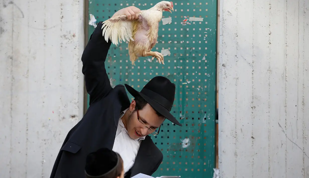 Pria Yahudi ultra-Ortodoks memegang ayam saat melakukan ritual Kaparot, di Bnei Brak, Israel, (9/10). Dalam ritual ini ayam putih disembelih sebagai syarat simbolis dari penebusan. (REUTERS/Baz Ratner)