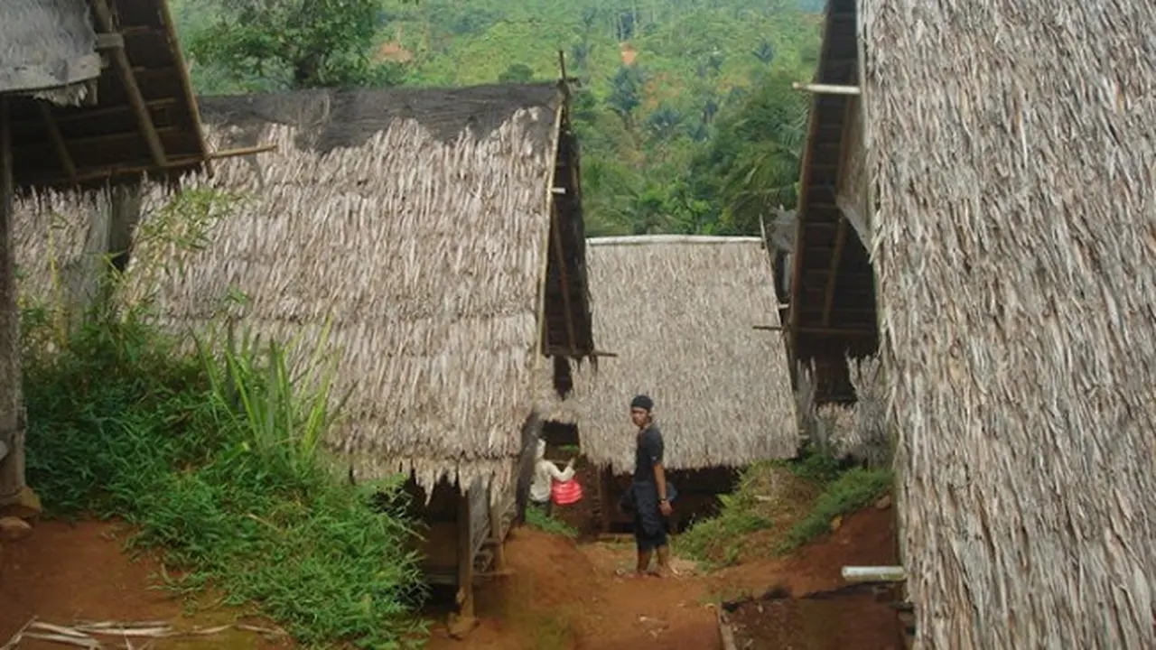 Gemerlap Kunang-Kunang di Gelapnya Baduy Dalam 
