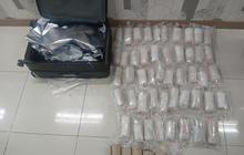 Polisi Bandara Soetta Ungkap Penyelundupan Benih Lobster Senilai Rp2 Miliar