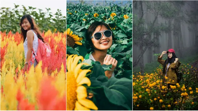 Belakangan wisata kebun bunga menjadi sebuah tren tersendiri di kalangan para wisatawan, terutama anak muda.
