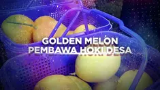 Pandemi COVID-19 memang melumpuhkan banyak usaha, terutama di bidang pariwisata. Namun, sedikit demi sedikit sektor ini mulai menggeliat, berusaha untuk pulih dari keadaan. Begitu juga dengan Desa Kebon Ayu, Lombok Barat.
 
Ketua Pokdarwis Desa K...