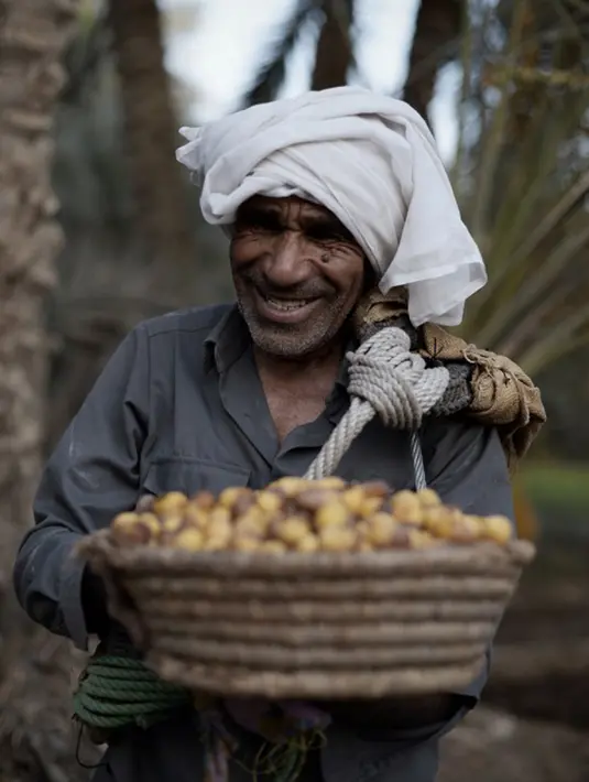 Seorang petani menunjukkan kurma yang baru dipetiknya di sebuah perkebunan di Desa Bori, Manama, Bahrain, 5 Juli 2015. (AFP PHOTO/MOHAMMED AL - SHAIKH)