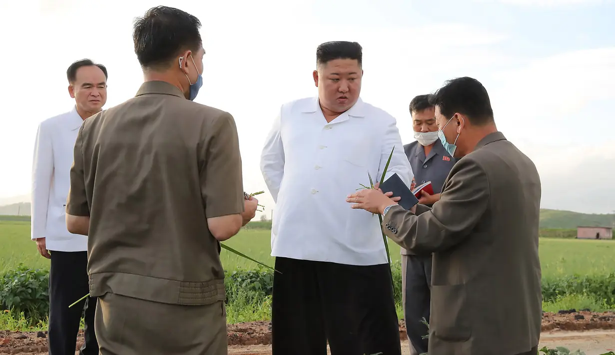 Dalam gambar tak bertanggal yang dirilis 28 Agustus 2020 memperlihatkan pemimpin Korea Utara, Kim Jong-un (tengah) mengunjungi daerah yang dilanda topan di Provinsi Hwanghae Selatan. Topan itu juga menyebabkan hujan lebat dan menumbangkan pohon. (STR/AFP/KCNA VIA KNS)