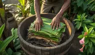 Cara Membuat Pupuk Hijau dari Daun, Solusi Alami Menyuburkan Tanah Tanpa Biaya