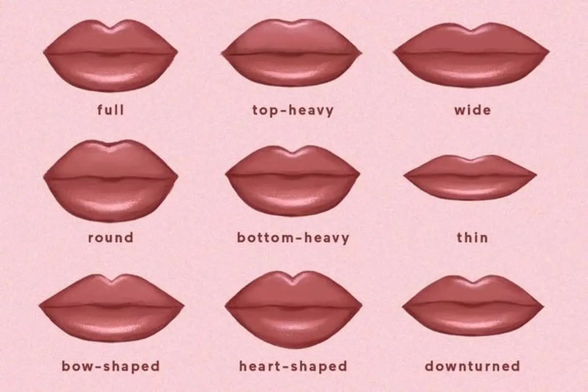 Bentuk Bibir
