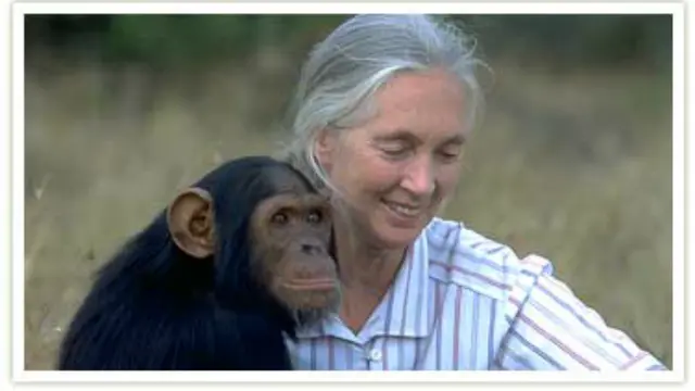 Jane Goodall, Ilmuwan Inggris yang meneliti tentang primata (Foto: old-www.wsu.edu).