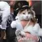 Tama dan Nitama adalah kucing kepala stasiun yang bertugas di Stasiun Kishi, Wakayama. (dok. www.wakayama-dentetsu.co.jp/Dinny Mutiah)