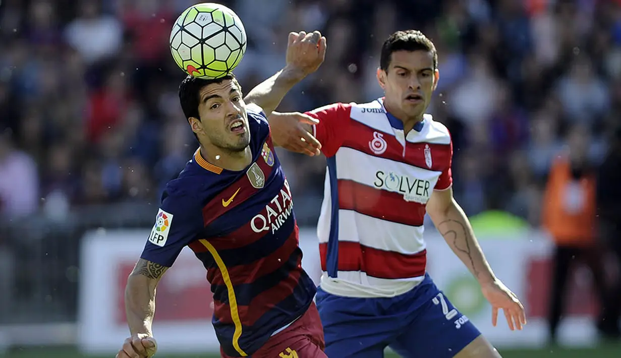 Striker Barcelona, Luis Suarez, berebut bola dengan bek Granada, Yrondu Musavu-King, pada laga La Liga Spanyol. Bomber asal Uruguay ini menjadi bintang pada laga pamungkas ini usai mencetak hat-trick. (AFP/Cristina Quicler)