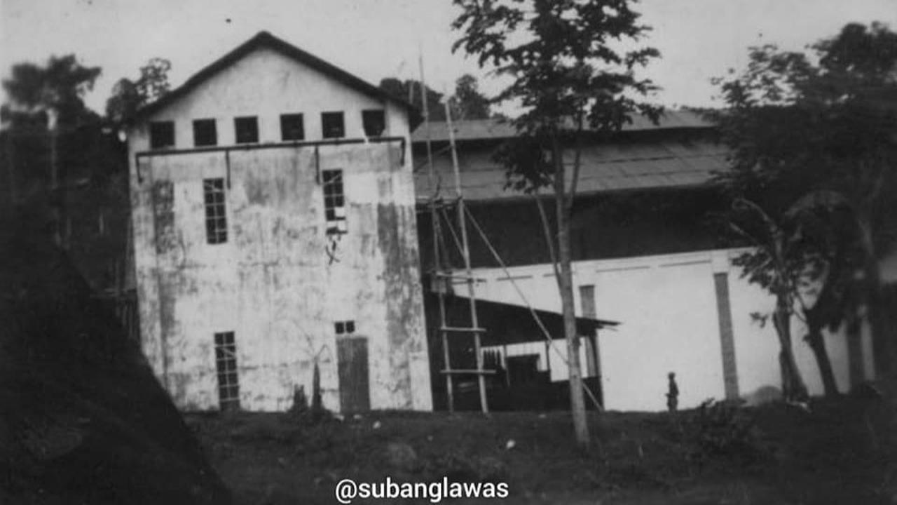 Memenuhi kebutuhan listrik perkebunan