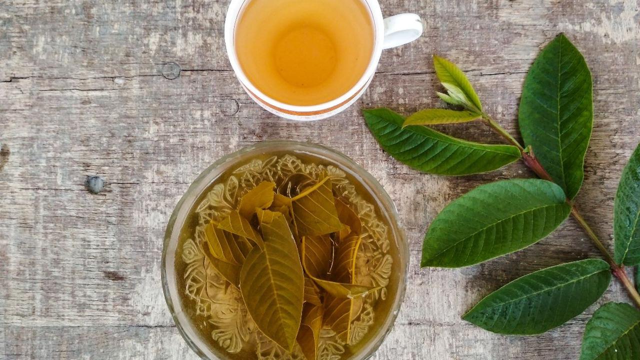 Resep Jamu Daun Jambu Biji
