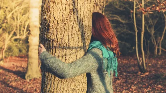 Foto: copyright thinkstockphotos.com