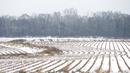 Salju menumpuk di antara barisan tanaman yang dipanen menciptakan pola di sebuah ladang di Canton, Mississippi, Amerika Serikat, 16 Januari 2022. Warga Mississippi di beberapa bagian negara bagian tengah dan utara terbangun karena salju pada Minggu pagi. (Barbara Gauntt/The Clarion-Ledger via AP)