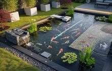 6 Cara Membersihkan Lumut di Kolam Ikan Paling Ampuh, Air Kembali Jernih