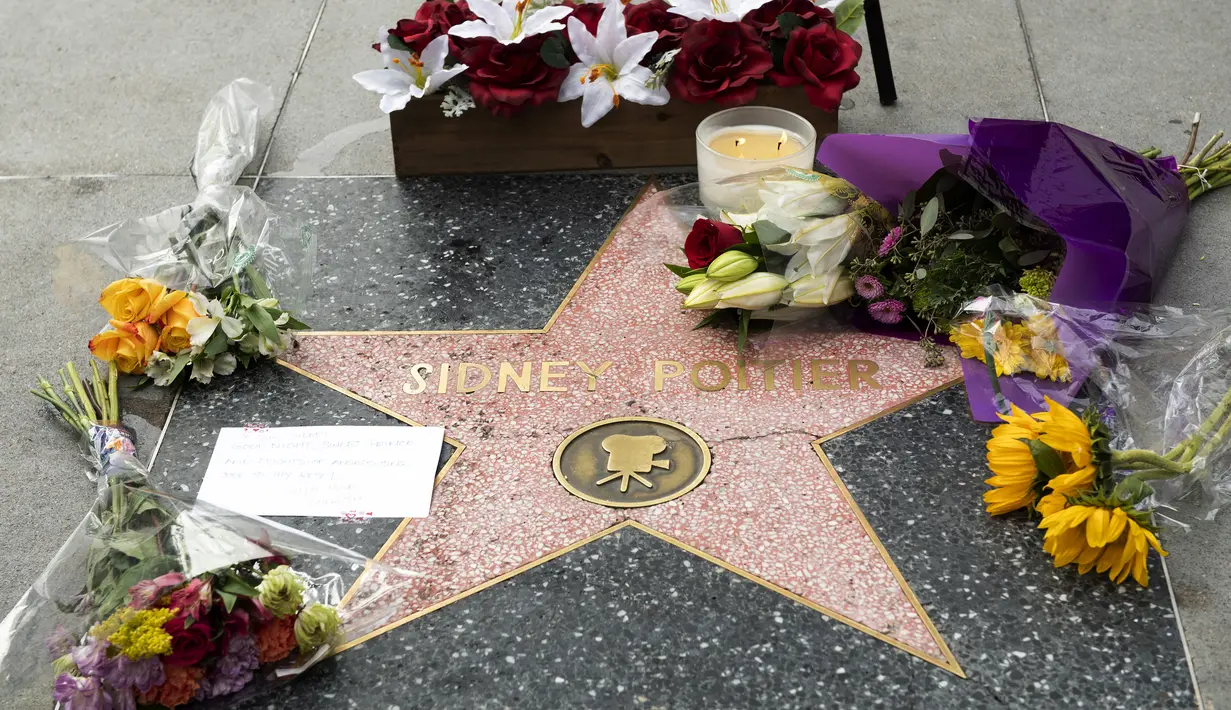 Sebuah catatan dan bunga terlihat pada bintang Sidney Poitier di Hollywood Walk of Fame di Hollywood, California, Jumat (7/1/2022). Poitier, bintang film kulit hitam pertama Hollywood dan pria kulit hitam pertama yang memenangkan aktor terbaik Oscar, meninggal pada usia 94 tahun. (VALERIE MACON/AFP)