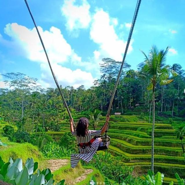 Tegalalang Rice Terrace di Ubud, Bali