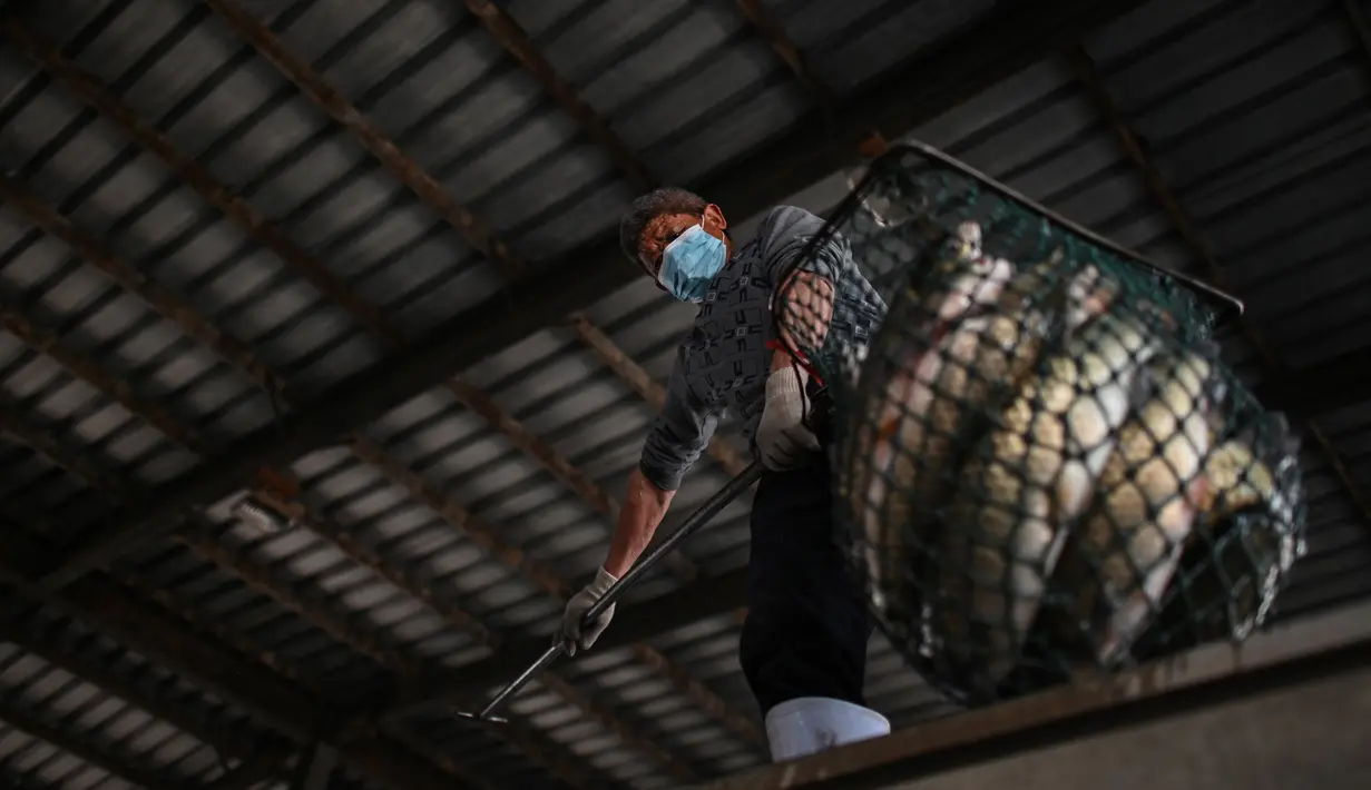 Pekerja mengenakan masker saat menurunkan ikan dari truk di Pasar Baishazhou Wuhan di Wuhan, provinsi Hubei, Rabu (15/4/2020). Lebih dari 90 persen kios pasar basah di Wuhan telah kembali buka sejak pemerintah mencabut aturan lockdown di wilayah pusat pandemi corona tersebut. (Hector RETAMAL/AFP)