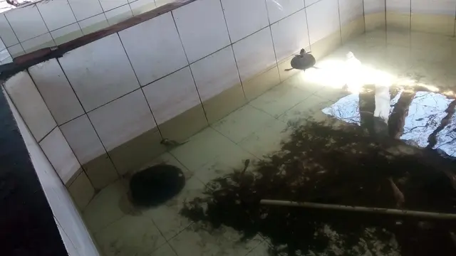 Udara pagi di pantai Trisik