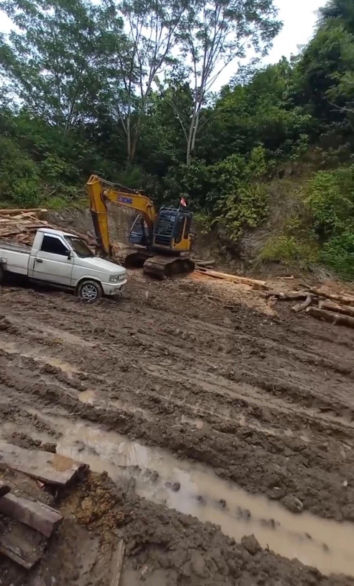 Viral! Rekaman Ilegal Logging di Lampung Bikin Warga Ketakutan