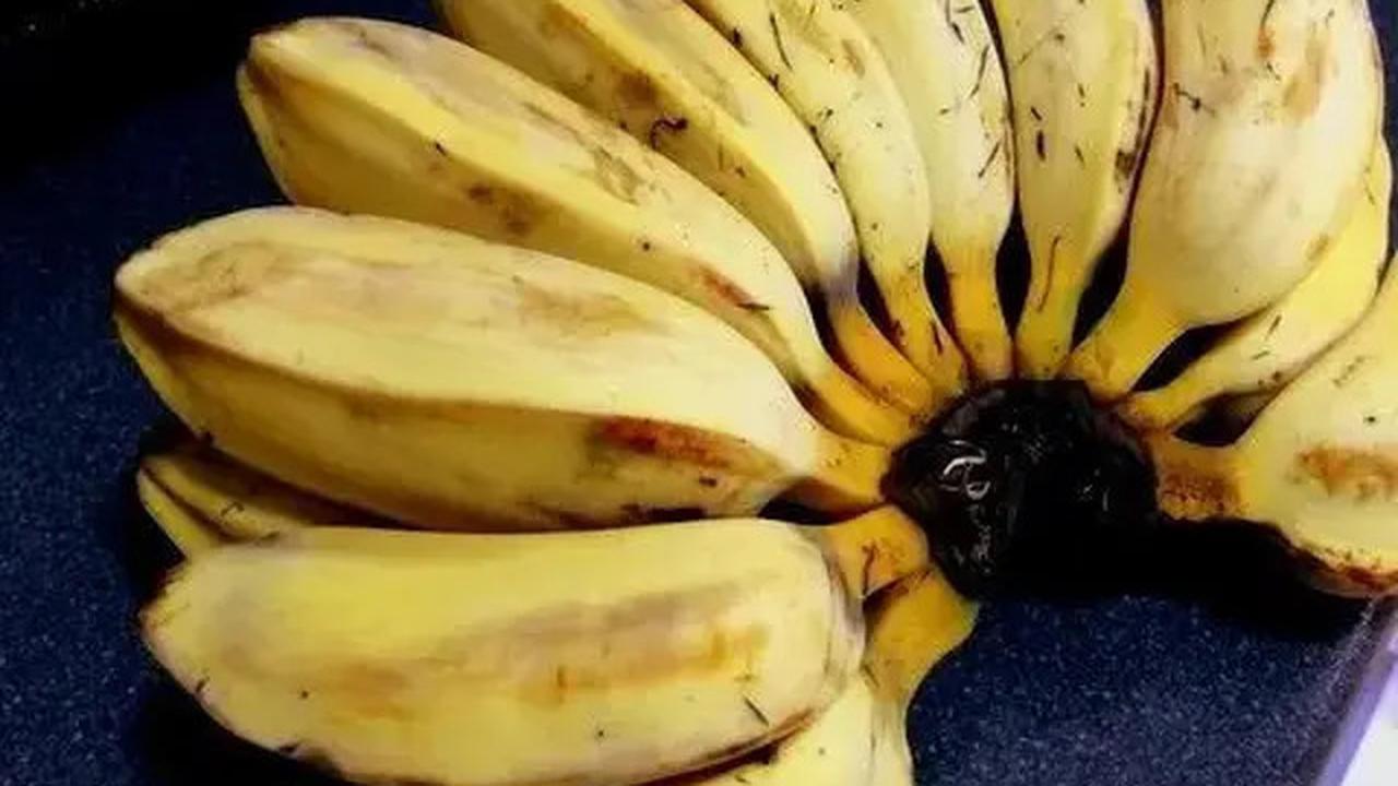 Cara Efektif Mengatasi Diare pada Anak, Makanan yang Harus Ibu Berikan