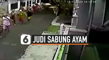 judi sabung ayam thumbnail